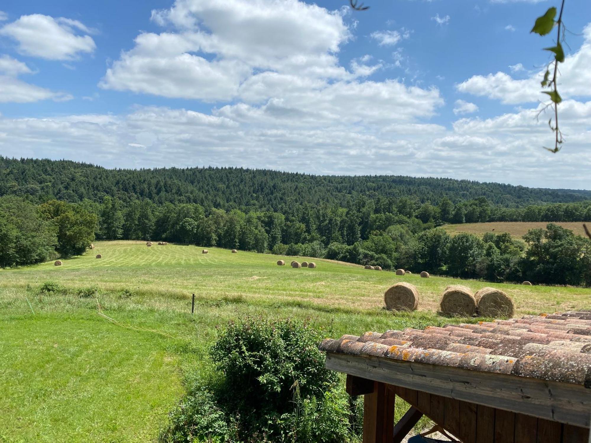 Bed and Breakfast Le Repaire De La Reveuse Saint-Frajou Номер фото